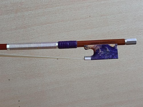 Master pernambuco violin - pernambuco, bow