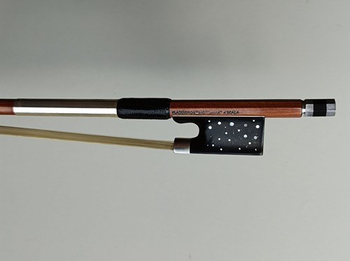 Brand new pernambuco violin